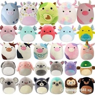 20cm Squishmallows Stuffed Plushie Toys Axolotl Teal Green Pink Anastasia Plush Stuff Doll Soft Squi