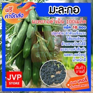 มะละกอดำเนิน 100เมล็ด มีให้เลือกแพ็ค 1-20ซอง (Papaya seeds) ปลูกง่าย ลำต้นแข็งแรง ให้ผลผลิตสูง ต้านท