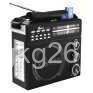 FP-1355U Multifunctional Radio Eletree Music Standing Quality Cheap Good Price Outing NDUR