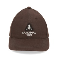 Cardinal Men's Regular Hat E0562X03A