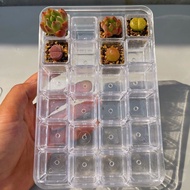 New [New Product Discount] Succulent Flowerpot Plastic Transparent Seedling Mini Thumb Plastic Squar