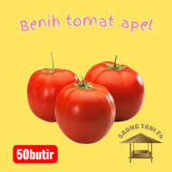Benih Tomat Apel /Bibit Tomat Apel/Tomat Merah/Kemasan 50butir