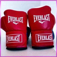 台灣現貨拳擊手套  Everlast 武術手套  拳擊手套 - RAY SPORTS  露天市集  全台最大的網路購物市