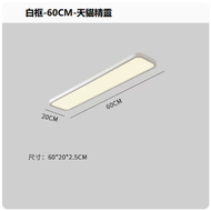 吸頂燈（白框60CM_無極+天貓精靈）
