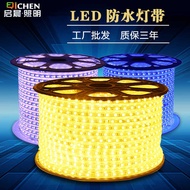 Dimming led Light Strip 2835 Patch Light Strip 5730 Outdoor Waterproof Long Light Strip 220V High Vo