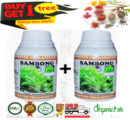 Pure Sambong Leaves in Capsule( Highest Potency ) Buy 1 Take 1 ( 2bottles with 60pcs capsule each)