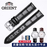 Orient/Oriental Double Lion Leather Watch Belt Men's and Women's Mechanical Rectangular Bracelet Pin Buckle Accessories 20