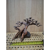 Bonsai Aquascape Size15cm