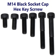 M14 Black Socket Cap Hex Key Screw/M14 Screw HEAD ALLEN KEY SCREWS