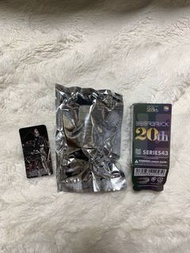 Bearbrick series 43 terminator