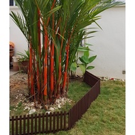Wooden Garden Fencing Outdoor Fancy Classic DIY Shape Pagar Kayu Untuk Taman Pokok Bunga Deko Outdoo