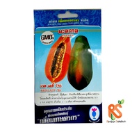 Biji Benih Thailand Betik Red Lady 786 Papaya Seeds
