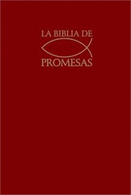 3314.Santa Biblia de Promesas Reina Valera 1960 / Tapa Dura / Vino