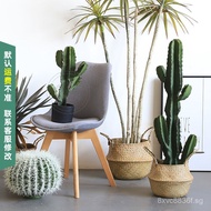 PU Artificial Cactus Mexican Measuring Stick Cactus Artificial Green Plant Fake Potted Plant Window 