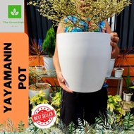TGH | Elegant and Luxurious Yayamanin Pots for plants small to big size paso sa halaman for indoor and outdoor Exquisite Plant Displays