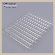 [COD] 10pcs/lot Transparent Pyrex Glass Blowing Tubes Long Thick Wall Test Tube