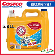 手鎚牌 - ARM & HAMMER OXICLEAN 強效濃縮 5合1 洗衣液 添加小蘇打粉 (清新香型) 200盎司(200負荷/5.91升) 平行進口