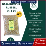 [1KG] Baja Rumput Karpet  Russell Baja Russell Premium + Humic Acid The Lawn