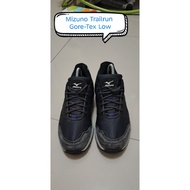 Mizuno Trailrun Gore-Tex Low Shoes