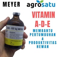 Vitamin Ade Vit Inj Meyer Sejenis Vitol Obat Produktivitas Proses Penyembuhan Kekurangan Nutrisi Dan