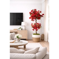 Pokok Bunga Kertas Bonsai Merah Hiasan 180cm / Premium Artificial Bougainvillea Red Bonsai tree Flow
