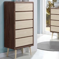 Drawer Chest / Clothing Cabinet / Dresser / Cabinet Baju / Almari Baju