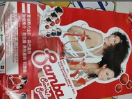 Twins 演唱會海報