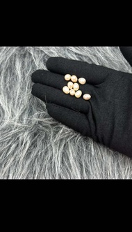 ต่างหูไข่มุกน้ำจืดธรรมชาติ ทรงรีเจาะครึ่งวงกลม ไข่มุกเต็มเม็ด 1 ชิ้น สำหรับผู้หญิง ขนาด 7.0x9.0 มม. 