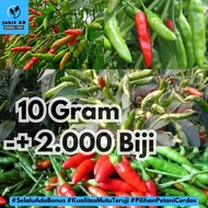 JaBit - 10gr Benih Cabe Rawit Hijau Lokal Cengek Cabe Gunung Bibit Cabai Unggul