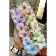 WHOLESALE DOZENS OF FRANCISCO CLIPS (12 PCS) DOZENS OF JUMBO FRANCISCO