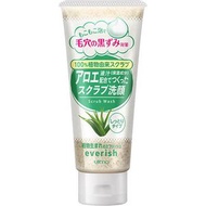 Everish Aloe Scrub Face Wash 135g