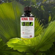 1L Bena 555 / Bena Hijau / Bena Perang / Pianggang / Belalang / Lelompat Daun / Kutu Beruang