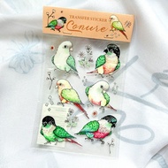 轉印貼紙 / 小太陽鸚鵡圖鑑水晶轉印貼紙