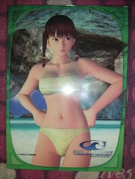 日本Game書 Weekly Famitsu通 XBox 12月号 附錄 A XB X-BOX DOA 生死格鬥 沙灘排球 Dead or alive Xtreme beach volleyball 