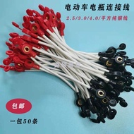 Electric Vehicle High Temperature Resistant Battery Connection Cable Copper Wire 48V60V72V84V Batter