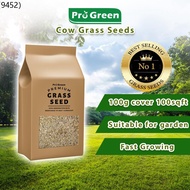 PROGREEN Premium Cow Grass Seeds Biji Benih Rumput Karpet