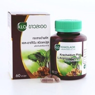 ขาวละออ กระชายดำพลัส Krachaidum Dried Powder Plus L-Arginine Khaolaor แอล-อาร์จินีนชนิดแคปซูล 60 แคปซูล/ขวด ช่วยบำรุงสุขภาพ ล็อตการผลิตใหม่