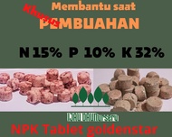 Pupuk NPK tablet golden star merah untuk pembuahan 15% 10% 32% isi 50 butir