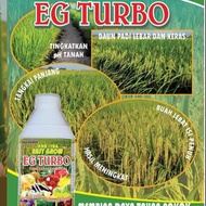 BAJA PADI EG TURBO TERLARIS