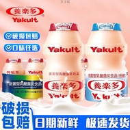 Lactic Acid Bacteria Drink Lactic Acid Bacteria Hair Fresh Drink Low Temperature Live Bacteria Yakul