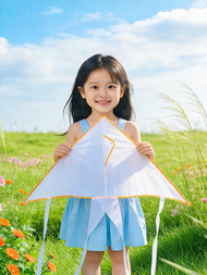 SHENWO | Educational DIY Kite For Beginners