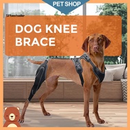 Sp Supportive Dog Knee Sleeve Dog Knee Brace for Acl Injury Dog Knee Brace for Back Leg Acl Support 