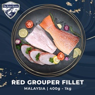 FRESH Red Grouper 7 Star 七星斑 Wild Caught FRESH (Fillet/SteakCut)