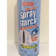 Ganso Spray Starch Iron