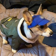 Dog Hat winter baseball Hat kitten Hat winter baseball Hat kitten Hat ke20251023