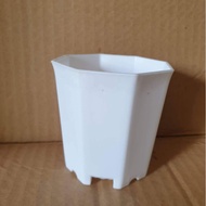 BG7 mini white octagonal plastic plant pot for growing succulents and cacti 7cm