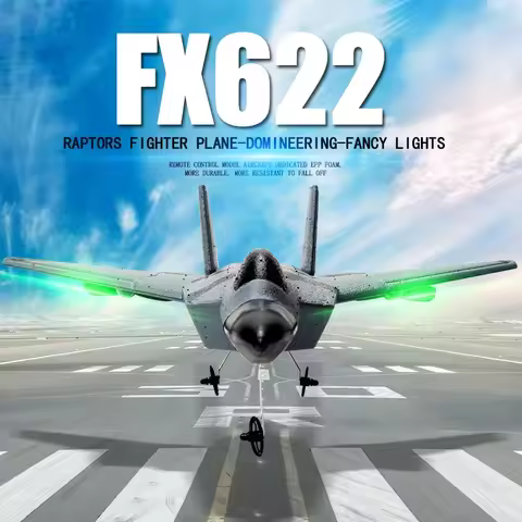 FX622 Highly Realistic F22 Fighter RC Plane | Foam Glider | 2-Channel Diff-Steer | 3-Axis Gyro | Beg