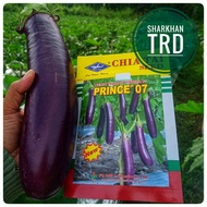 NEW STOCK🔥 Paket 10g PRINCE 07 Benih Terung Ungu F1 Hybrid Eggplant Seeds Cap Kapal Terbang Chia Tai