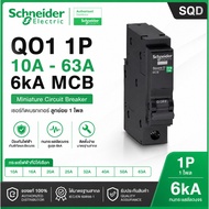 Schneider QO1 1P 10A-63A 6kA MCB Circuit Breaker Plug-On Square D