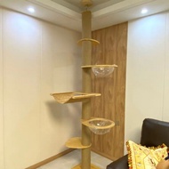QM💎Cat Tree Luxury Solid Wood Cat Climbing Frame Tong Tianzhu Cat Climber Furniture Cat Scratch Trees Cat Tree Ceiling S